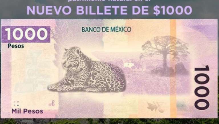 Este es el animal que aparecerá en el nuevo billete de mil pesos
