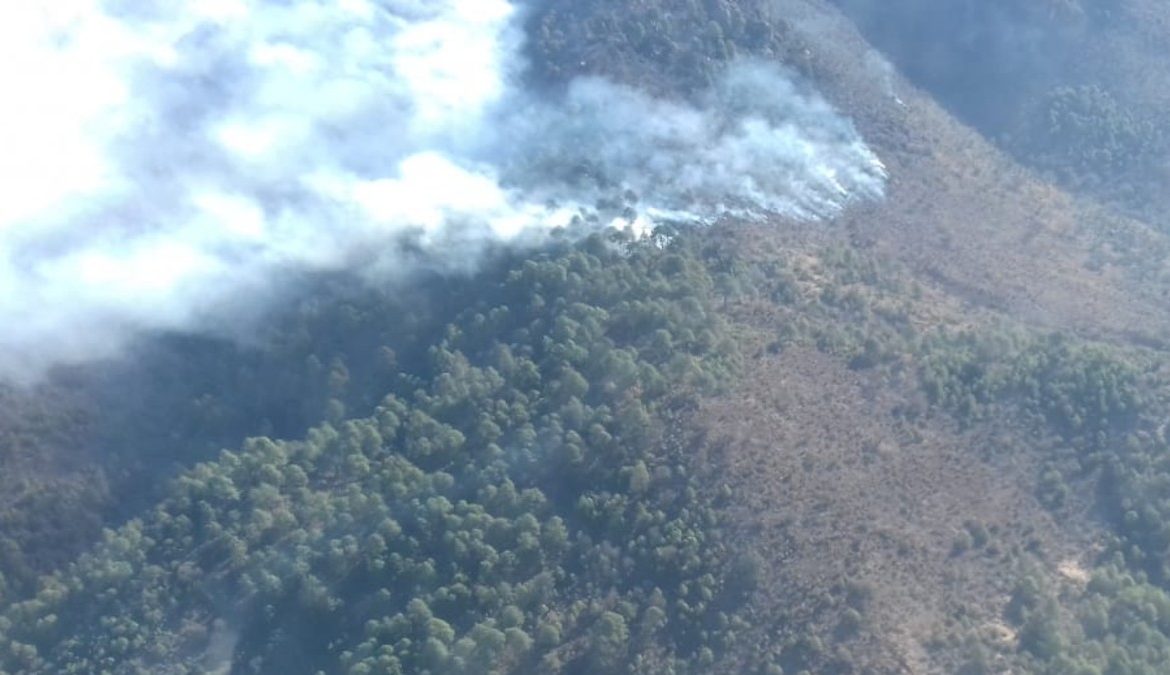 Suman seis incendios forestales activos en Puebla