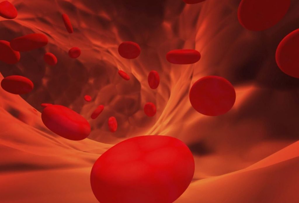 Covid-19 también afecta vasos sanguíneos de otros órganos vitales