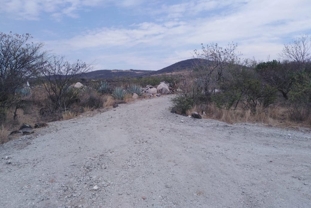 SEDESU informa que no hay permisos de desarrollo en el ejido El Zapote