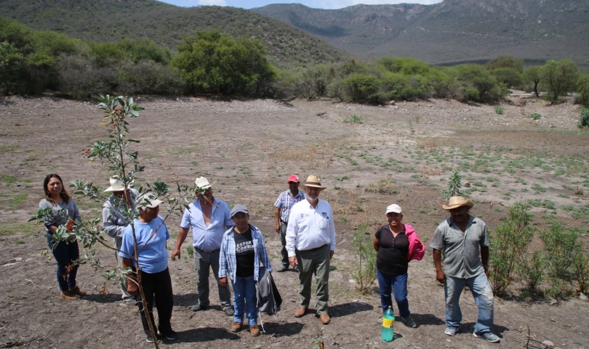 SEDEA trabaja en la cosecha de agua para abastecer el sector agropecuario del semi desierto queretano