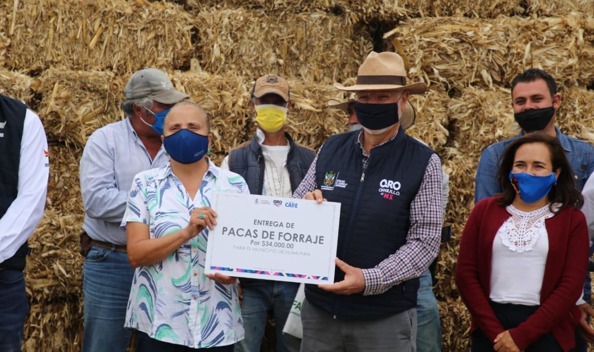 Entrega SEDEA a ganaderos del municipio de Huimilpan pacas de forraje