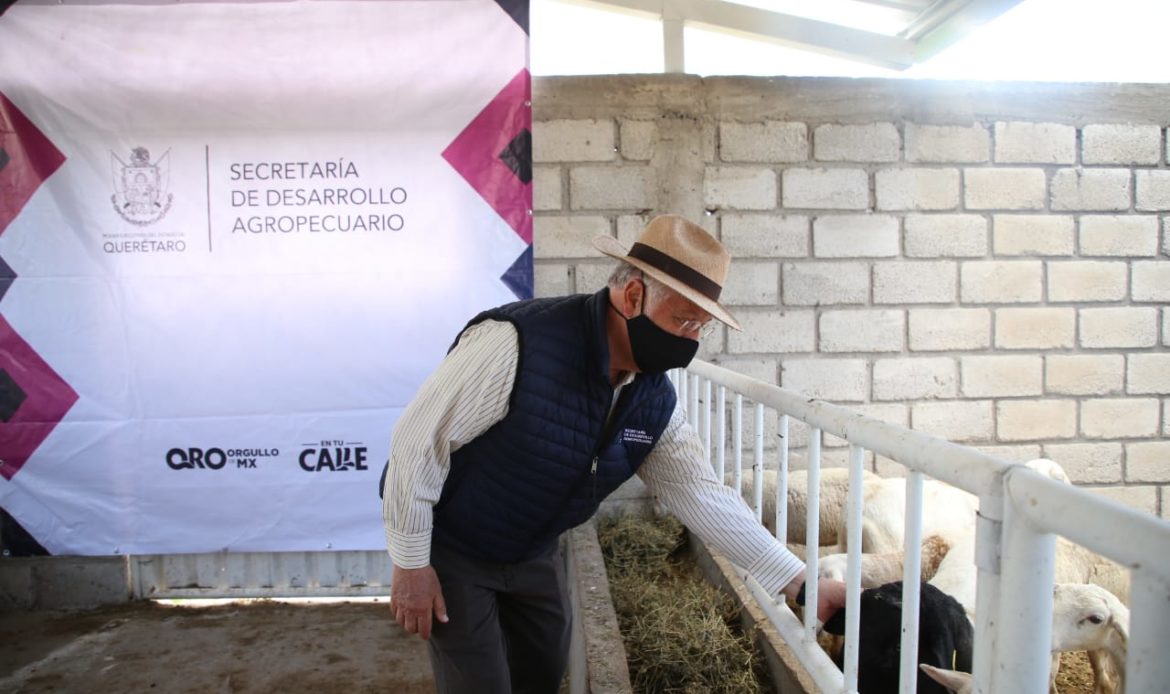 SEDEA entrega Proyectos de Desarrollo Territorial (PRODETER) en el municipio de San Juan del Río