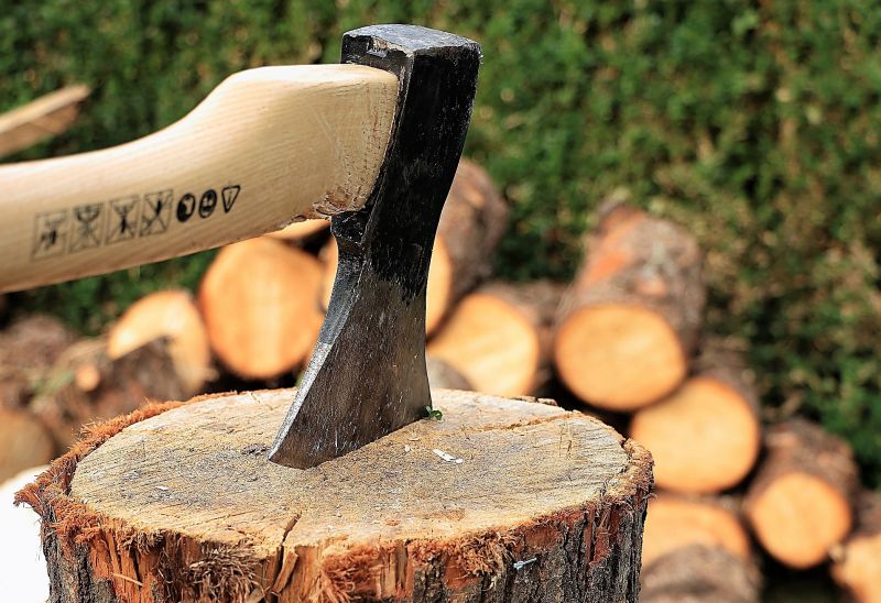 En Milpa Alta por tala ilegal de árboles detienen a tres hombres 