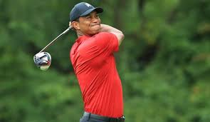 Va a regresar Tiger Woods 