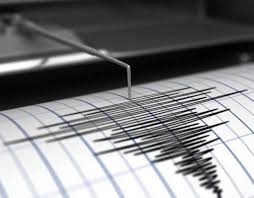 “Ruido sísmico y confinamiento” Charla que revela los resultados del monitoreo mundial
