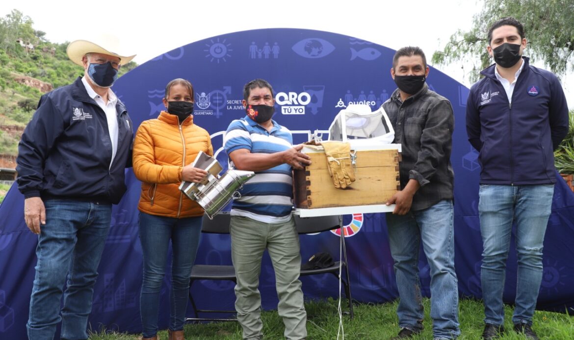 SEJUVE y SEDEA inician proyecto de apiarios comunitarios en cuatro municipios