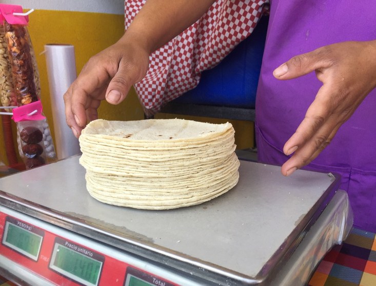 Kilo de tortilla hasta en 21 pesos en Querétaro