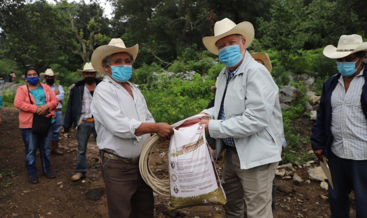 SEDEA entrega fertilizante orgánico y semillas en Jalpan de Serra