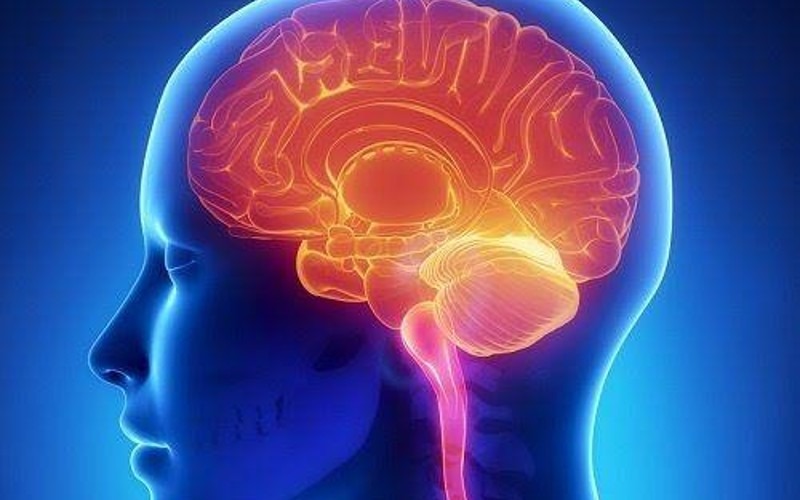 Destaca SESEQ la importancia de evitar la parálisis cerebral