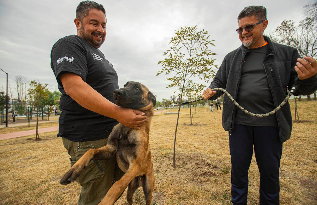 En Querétaro, enseñan adiestramiento con amor y comprensión del lenguaje de canino