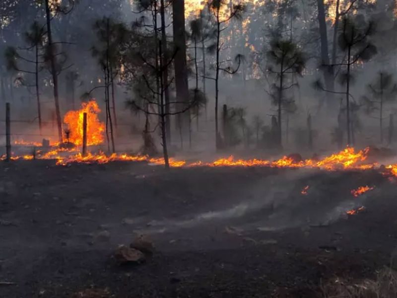 Incendio forestal consume casas y vehículos en comunidad tarahumara