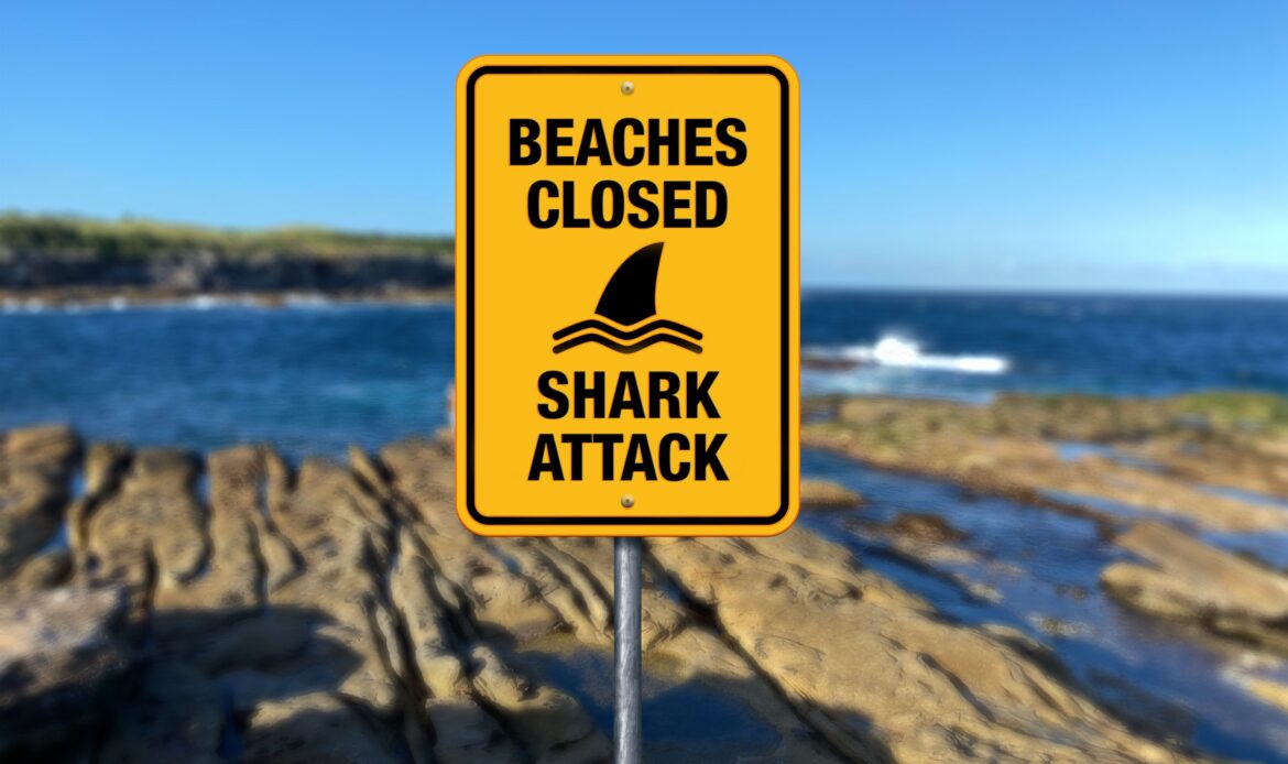 Sídney reabre sus playas tras el primer ataque mortal de tiburón desde 1963