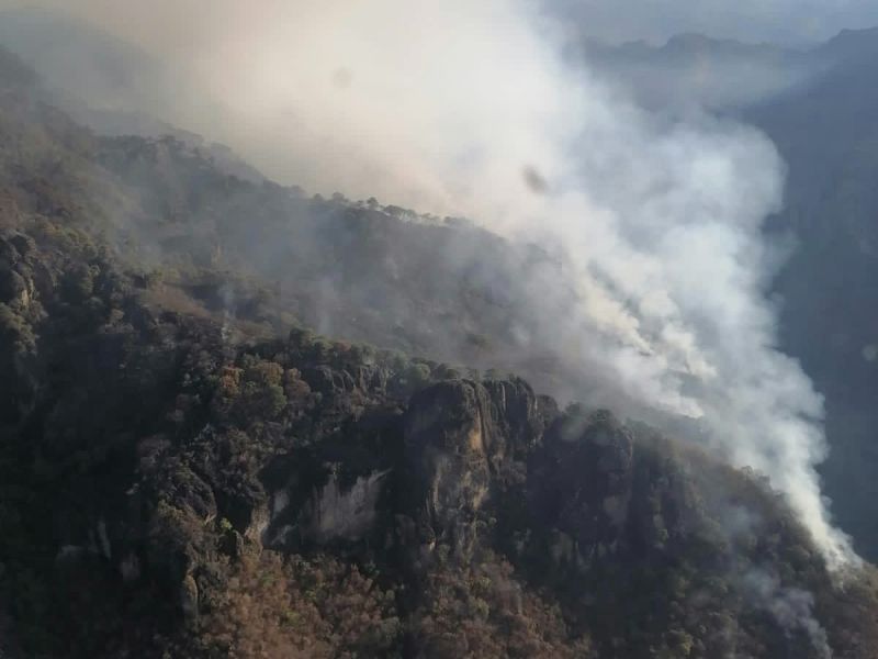 Control de incendio en el Tepozteco, con avance del 20%; van 74 hectáreas afectadas