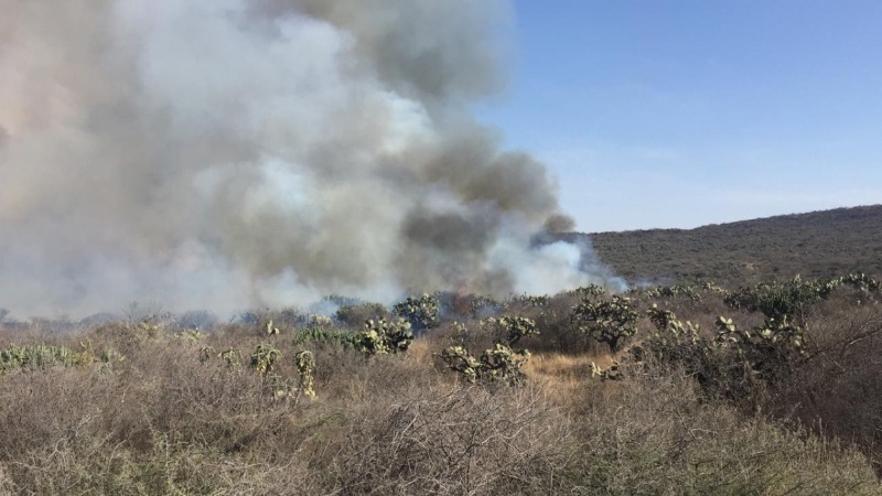 Registra El Marqués 127 incendios forestales y de pastizal en 4 meses