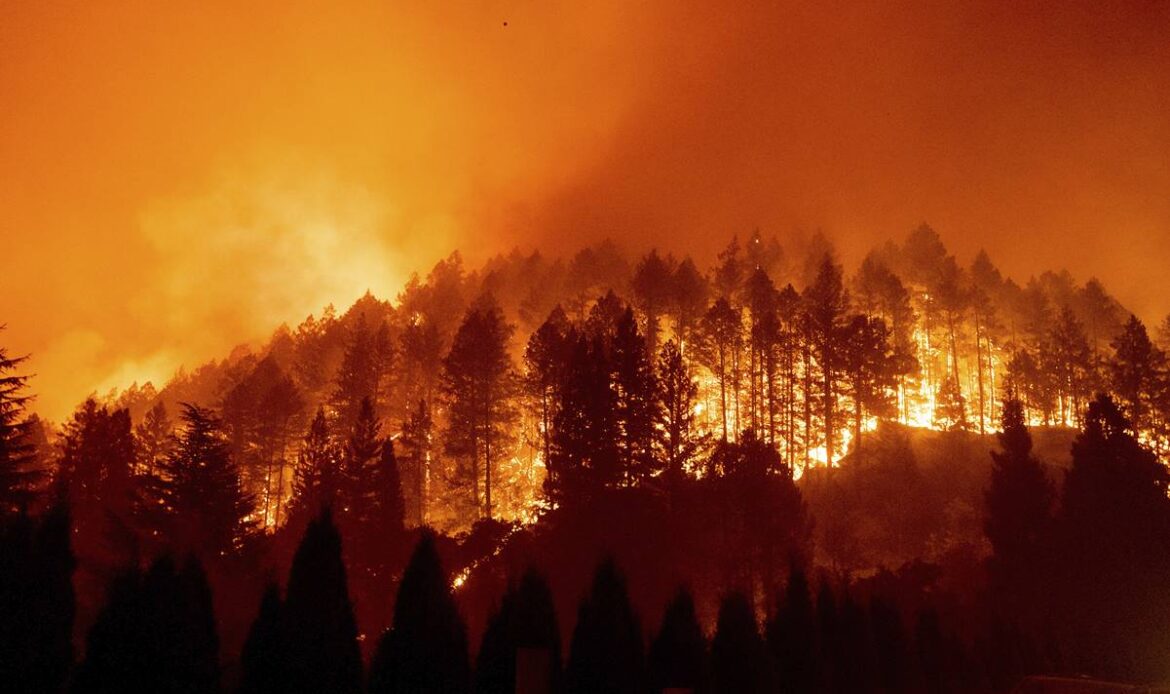Incendios forestales aumentarán un 30% para 2050 y un 50% para fin de siglo debido a la crisis climática mundial