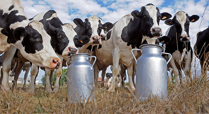 Incremento en precio de garantía de leche fresca, en beneficio de pequeños ganaderos del país