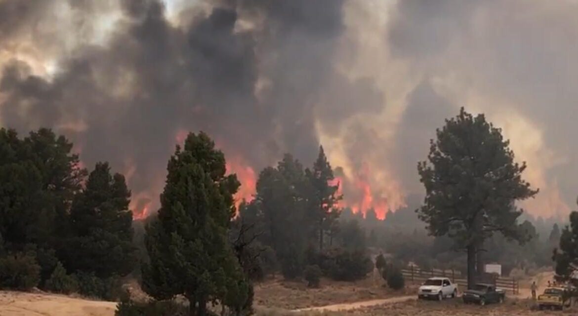 Instituciones se preparan para la temporada de incendios forestales en Baja California
