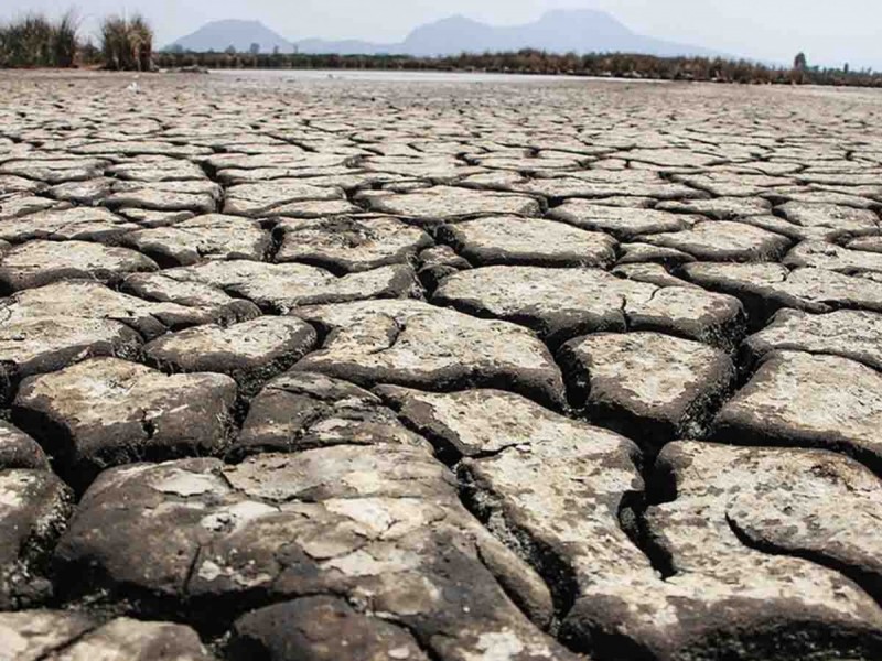 En sequía el 77% del territorio queretano