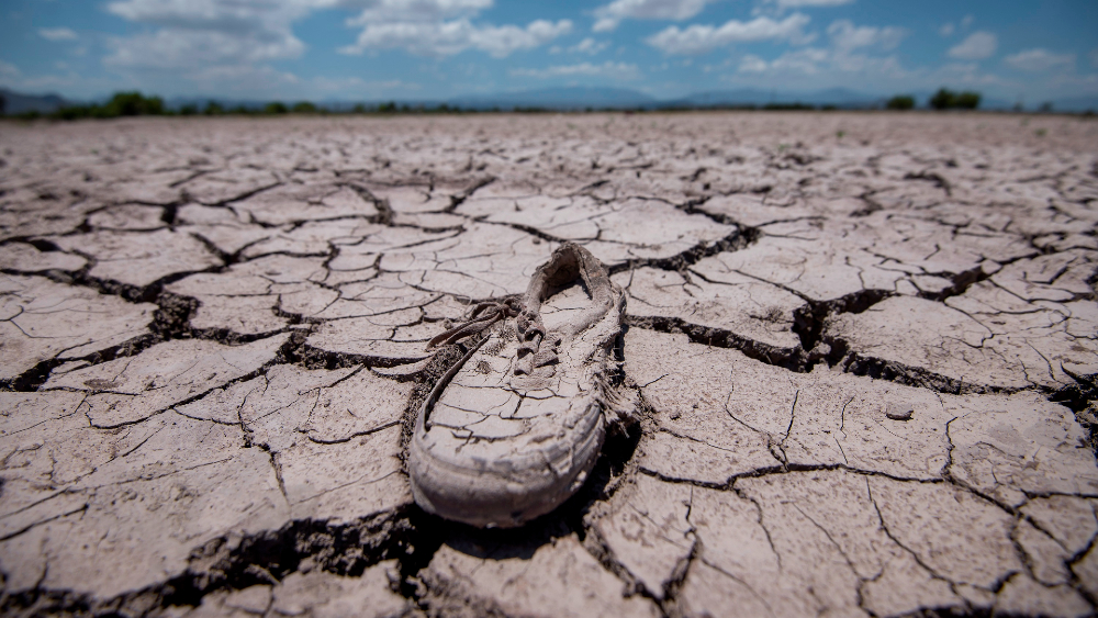 En 2050, tres de cada cuatro personas podrían vivir en sequía: ONU