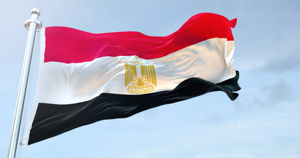 La UE debe denunciar a Egipto por violar los derechos humanos: Amnistía