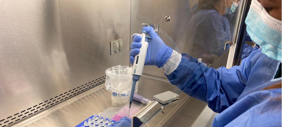 La OMS reforzará los laboratorios africanos para detectar la viruela del mono