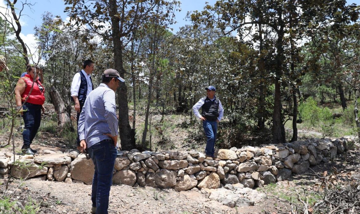 Supervisa Rosendo Anaya la restauración Integral de Suelos Forestales en Ejido Perales
