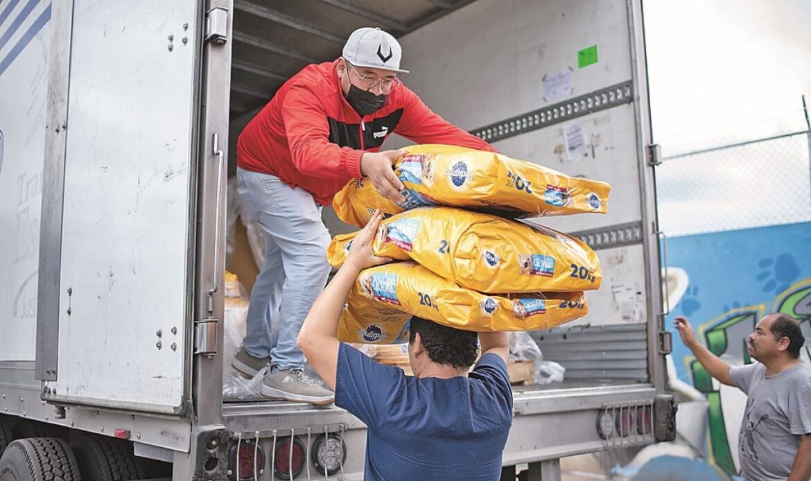Donan alimento para perritos y gatos rescatados en Querétaro