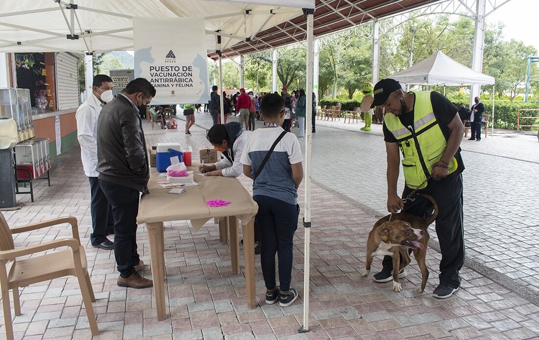Inauguran en Querétaro la Jornada Nacional de Vacunación Antirrábica Canina y Felina 2022