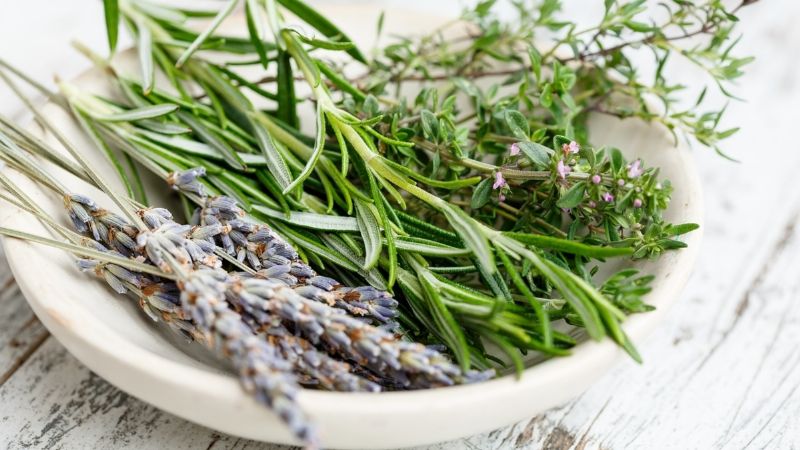 3 hierbas de la cocina que puedes usar para quitar el mal olor a tu hogar
