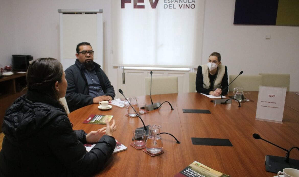 Buscan replicar modelos enológicos de España en la Región de Vinos de Querétaro