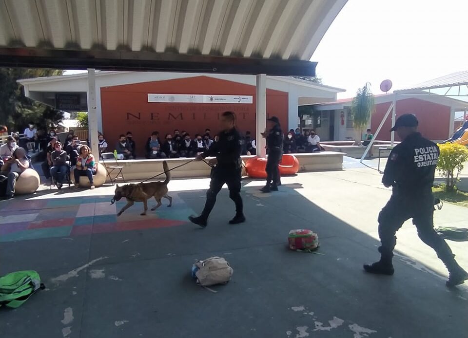 Unidad K9 de la Policía Estatal realiza demostración en primaria de Tequisquiapan