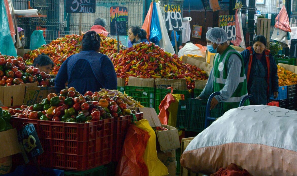 Los precios de los alimentos se mantuvieron estables en noviembre: FAO