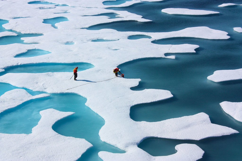 El hielo marino del Ártico y la Antártida registra su extensión más baja en enero