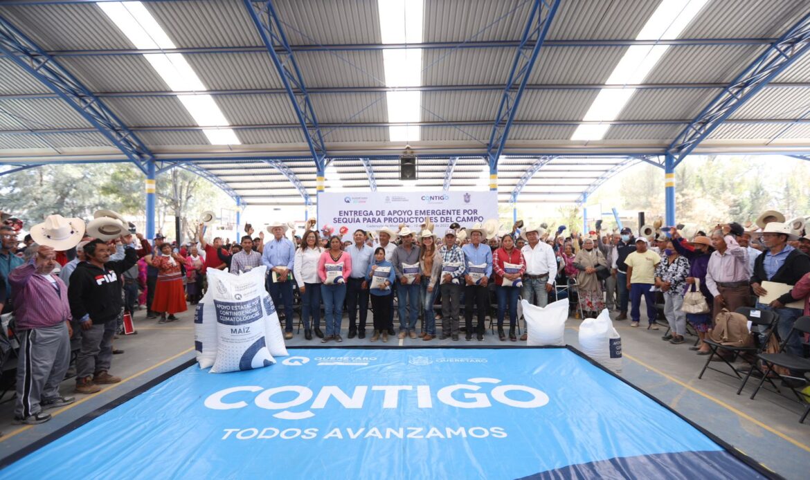 Apoya SEDEA con 320 toneladas de maíz a productores de Cadereyta de Montes