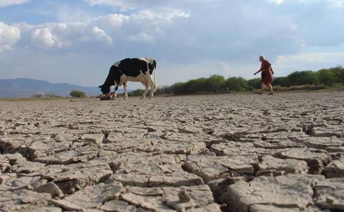 Se alistan 14 estados para combatir sequía