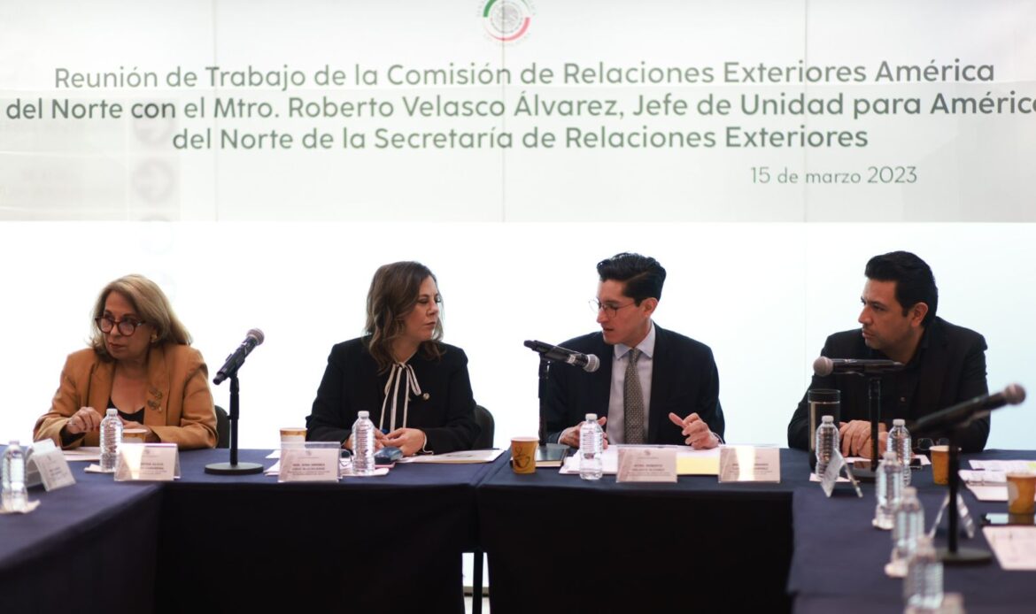 Jefe de Unidad para América del Norte comparte en el Senado Programa de Defensoría a Personas Mexicanas en Materia Penal en EE.UU.