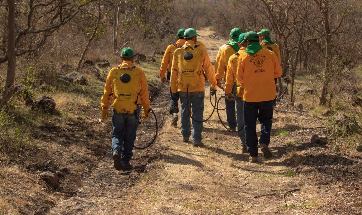 Trabajan autoridades federales y estatales en prevención de situaciones de riesgo por incendios forestales
