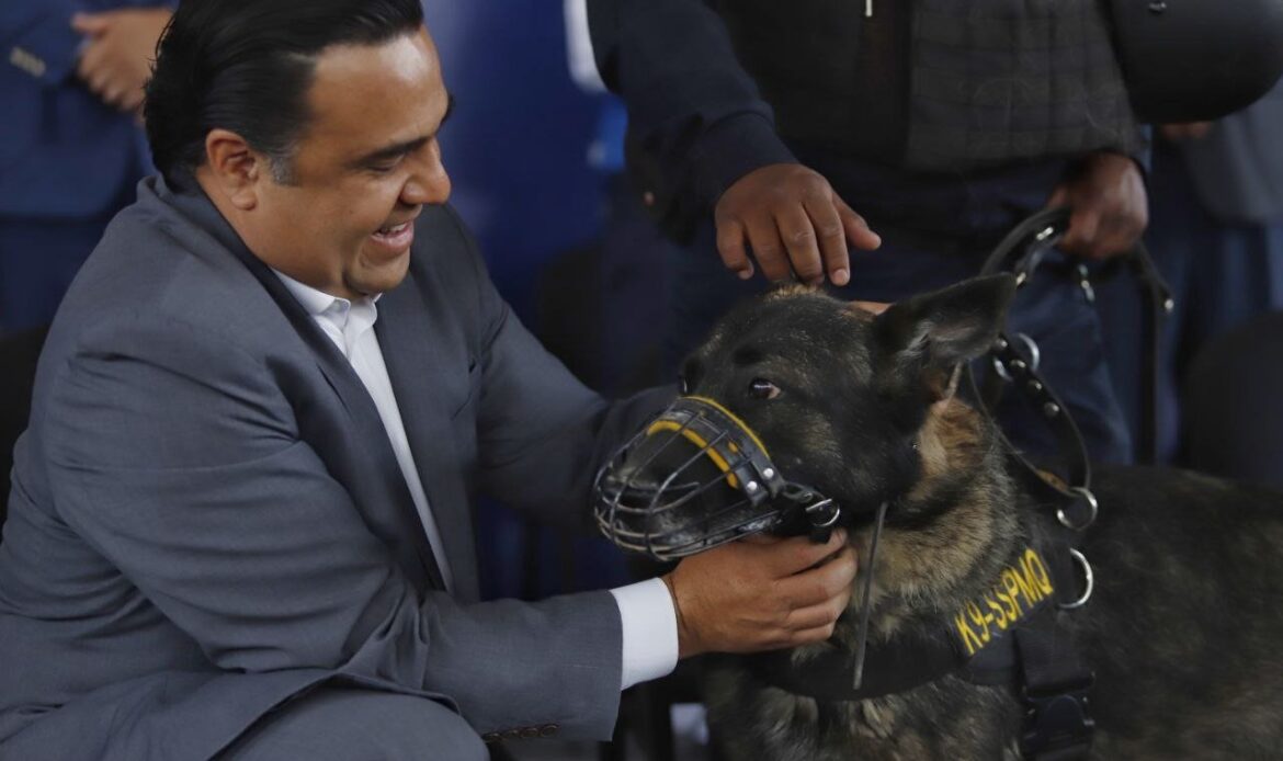 Reconoce Municipio de Querétaro a elementos caninos de Seguridad Pública Municipal
