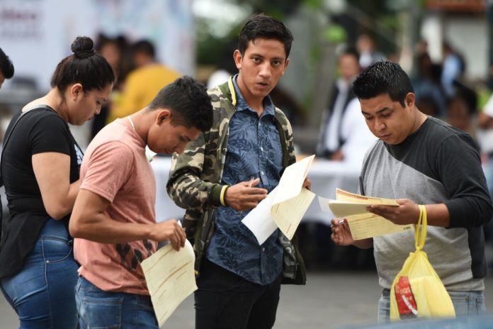 Reporta ST más de 600 personas beneficiadas con el Seguro de Desempleo