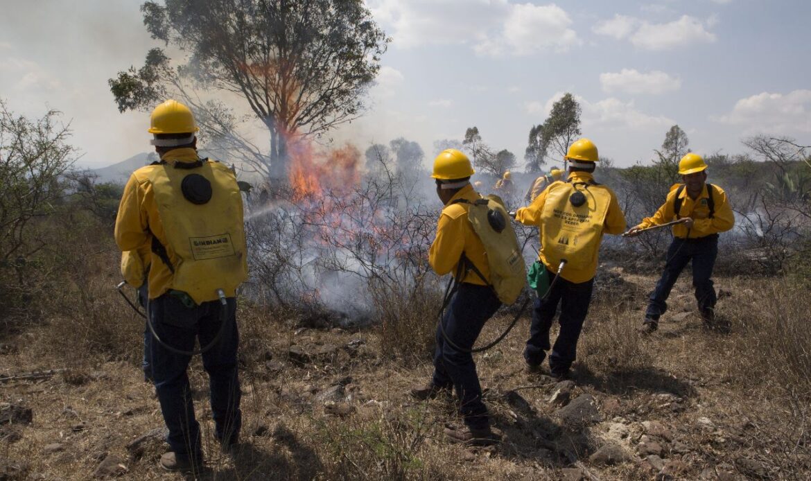 Fortalece SEDEA el combate a incendios forestales