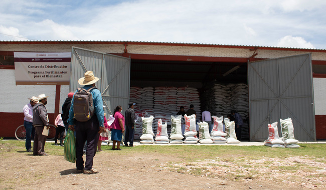 Comienza Agricultura suministro de fertilizante gratuito para sector agrícola en Querétaro