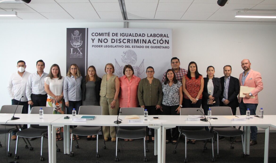 Diputada Graciela Juárez y Comité de Igualdad Laboral y No Discriminación se reúnen con titular del IQM, Marisol Kuri