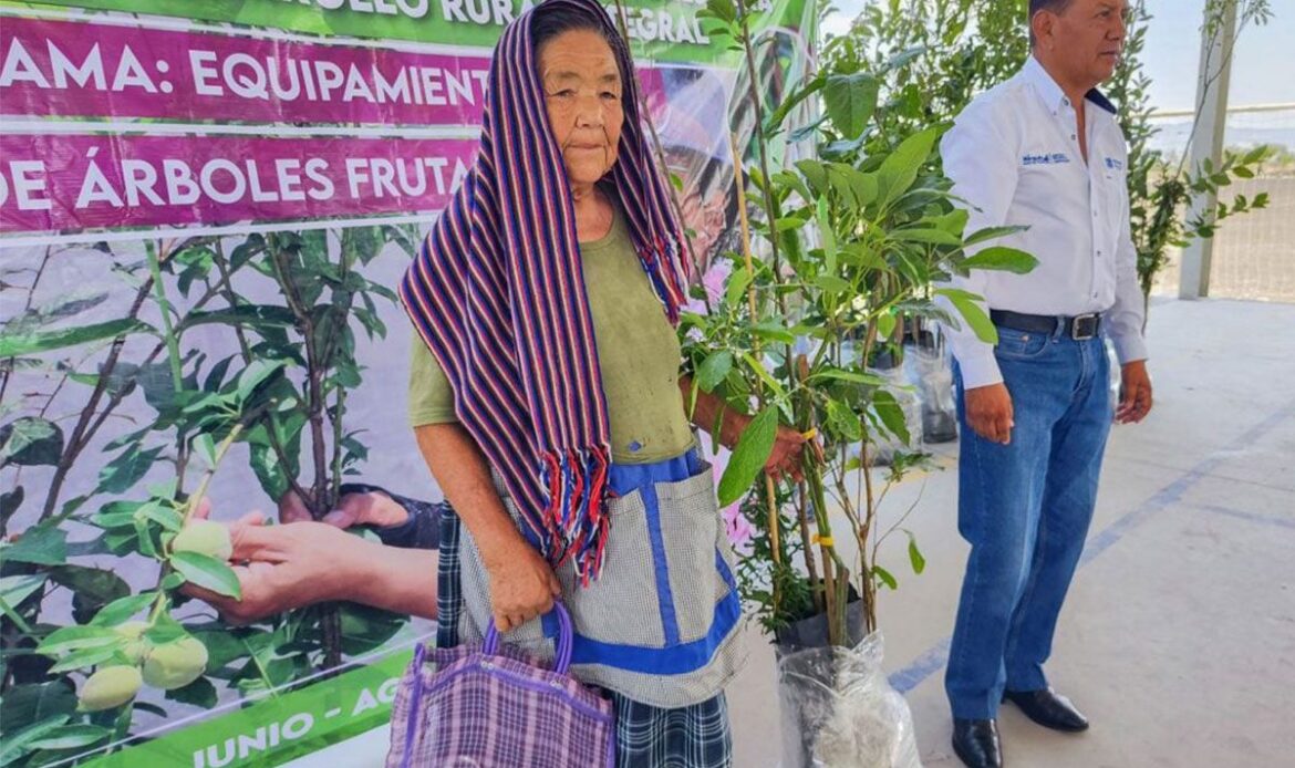 El Marqués entrega árboles frutales a productoras agropecuarias