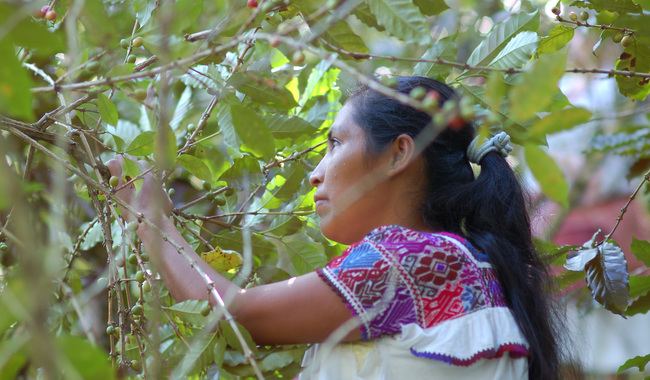 Participan más mujeres rurales en iniciativas para la producción de alimentos como los huertos familiares