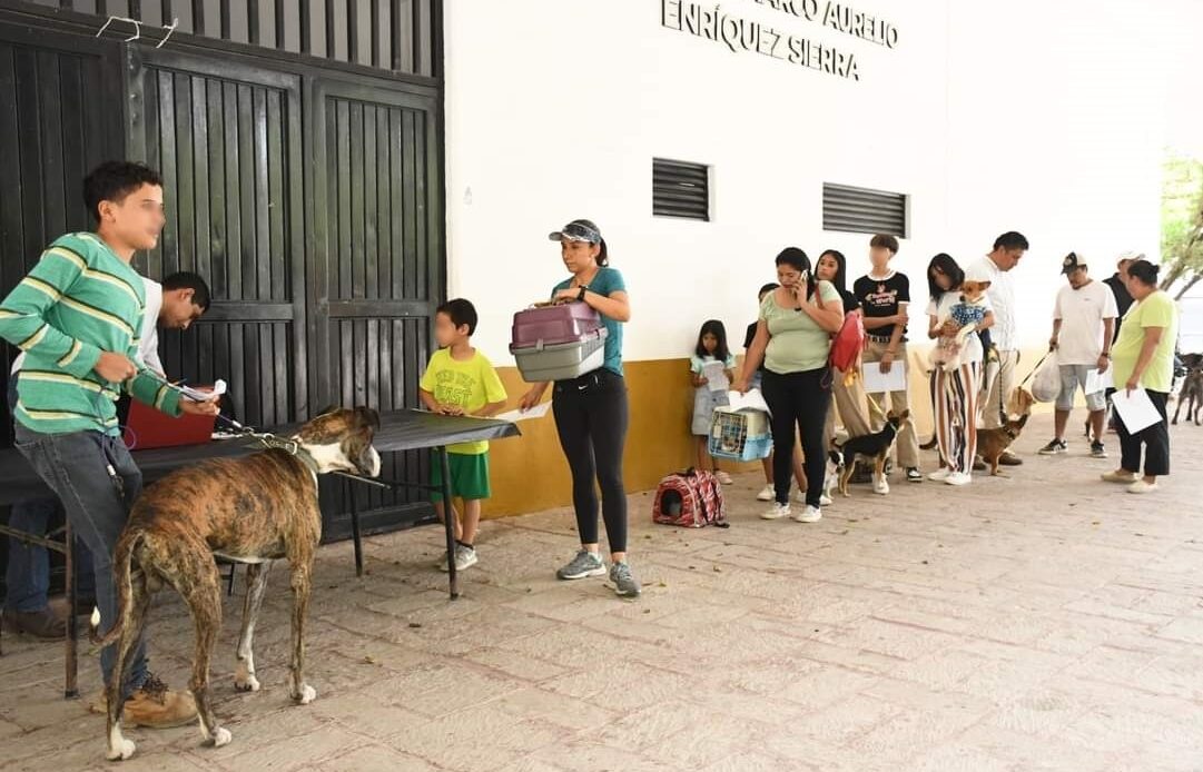 Realiza SESA Jornada de Esterilización Canina y Felina en Jalpan de Serra