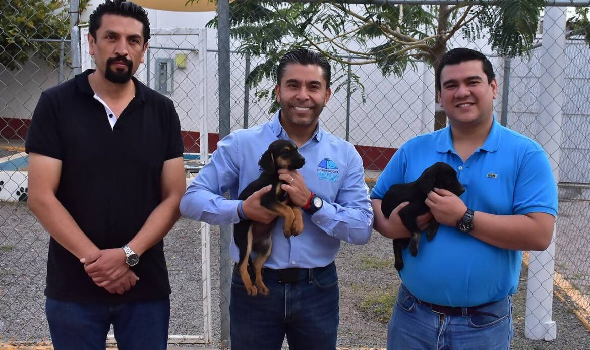 La UCPA de Corregidora ha dado en adopción a 100 animales de compañía rescatados
