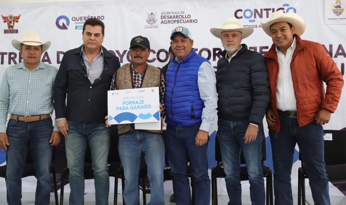 Apoya SEDEA a ganaderos de Tequisquiapan con forraje