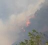 En labores coordinadas CEPCQ y cuerpos de emergencia atienden incendio forestal en Cadereyta de Montes