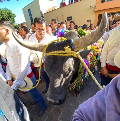 Corregidorenses celebran el tradicional “Paseo del Buey”